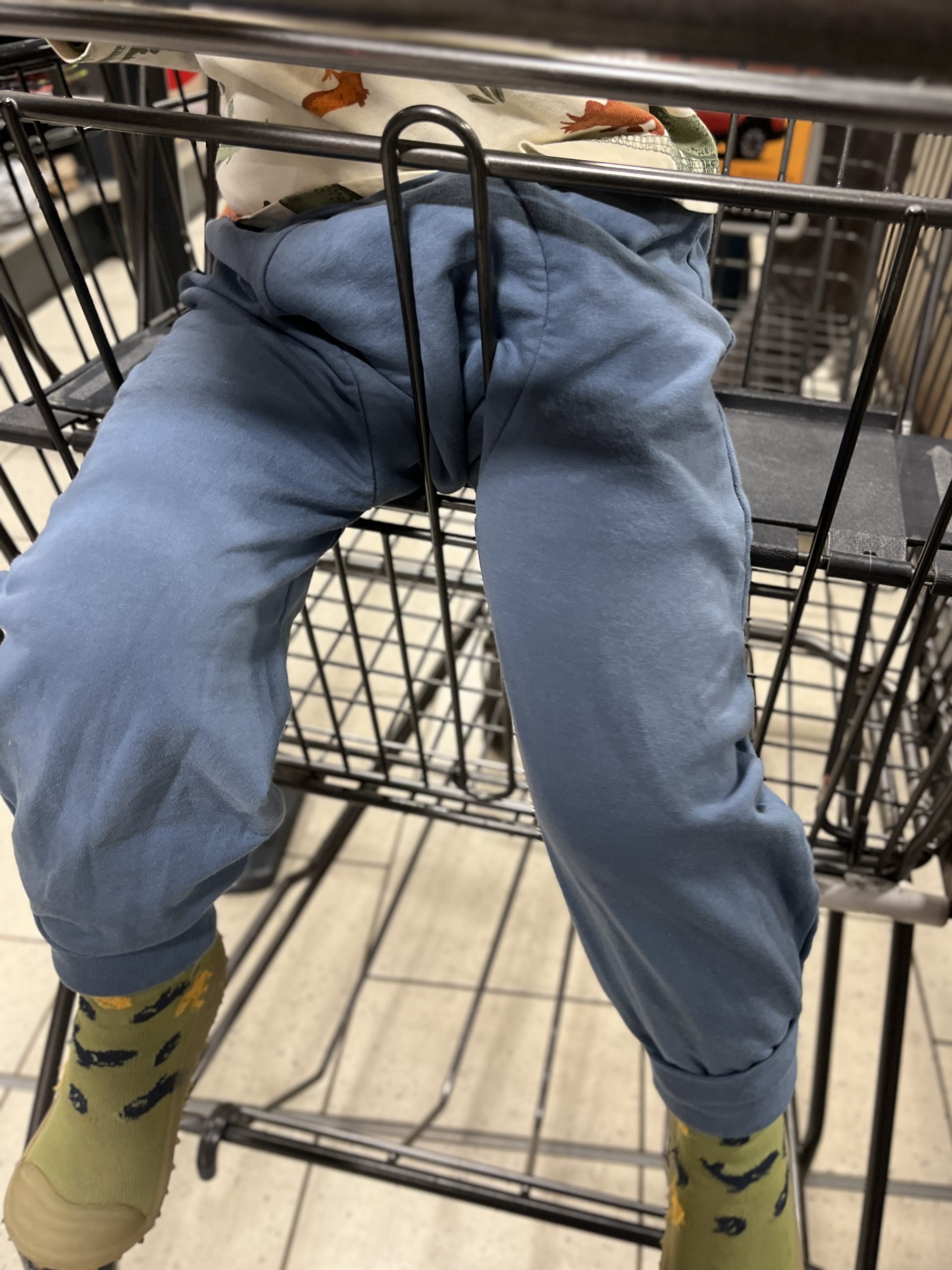 Kind im Einkaufswagen in Windelweg Hose Blaubär