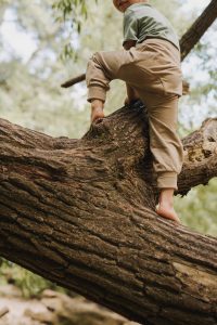 Kind klettert auf einem Baum und trägt Windelweg Hose Ufersand als Unterstützung beim Trockenwerden