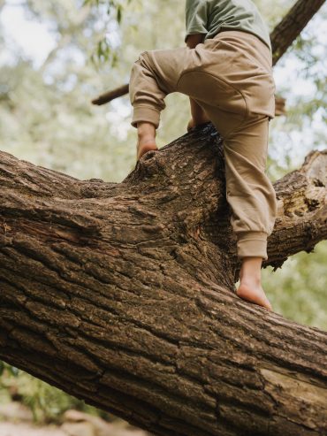 Kind klettert auf einem Baum und trägt Windelweg Hose Ufersand als Unterstützung beim Trockenwerden